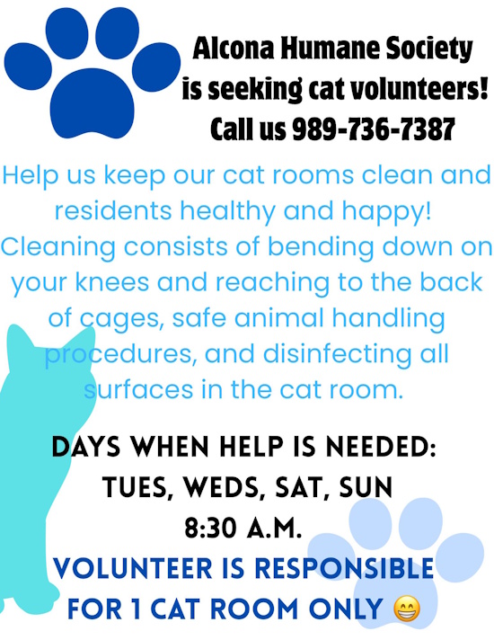 cat volunteers